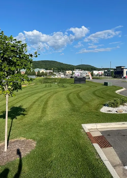 Commercial lawncare and grounds maintenance
