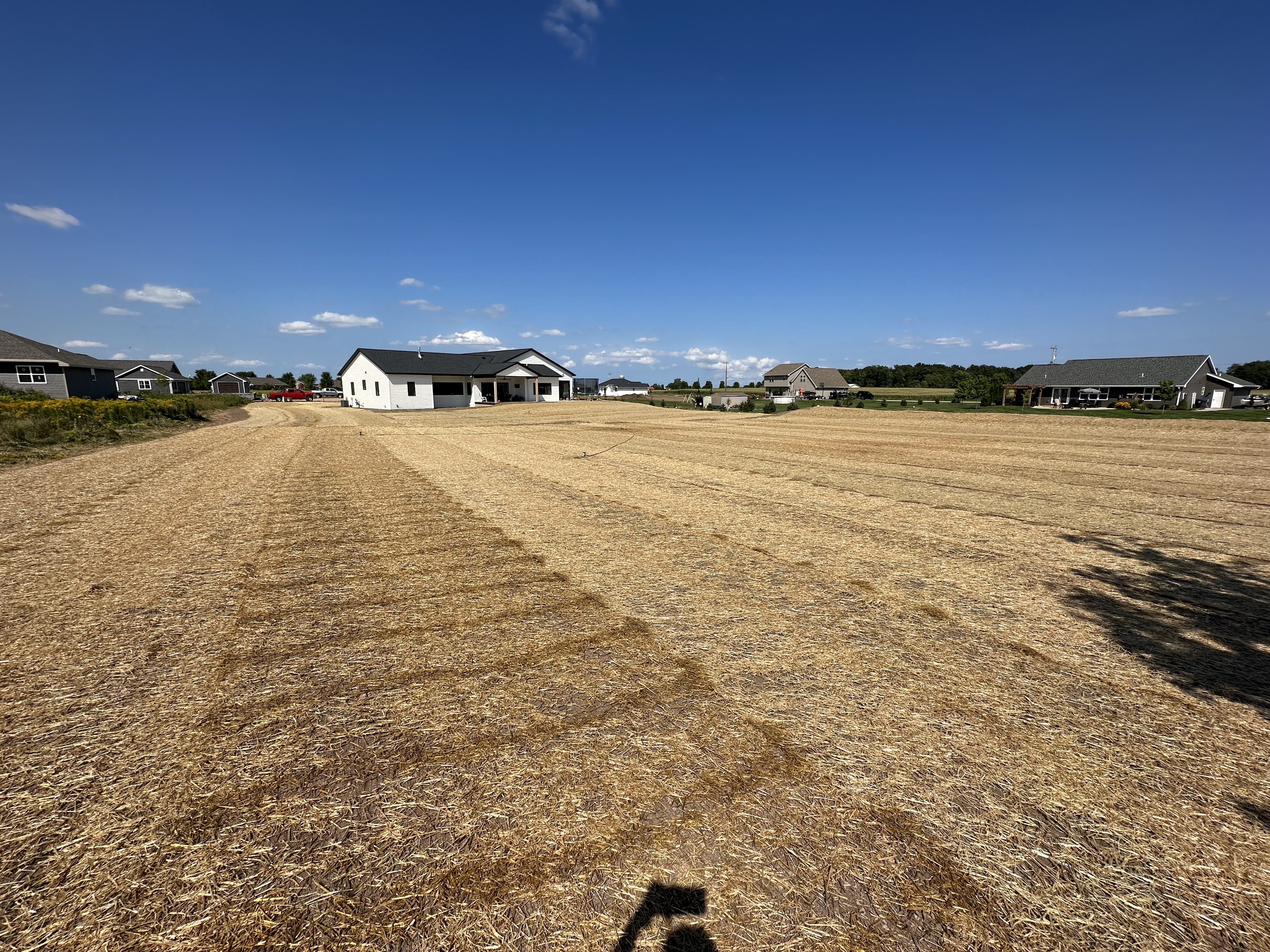 Landscape improvement and lawn installation work